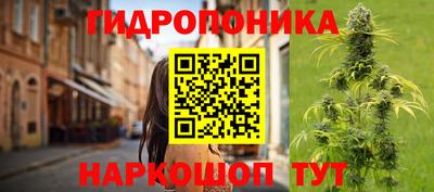 шишки Ливны
